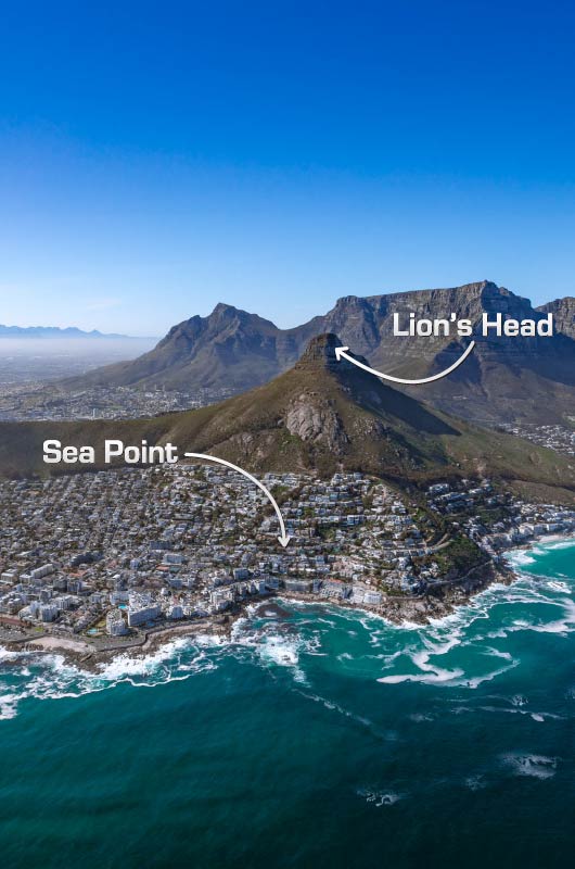 Helicopter Flight Lion's Head