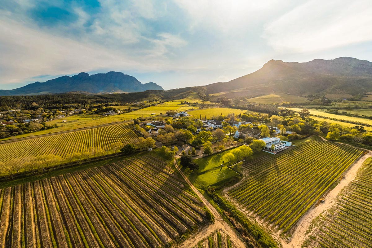 durbanville wine region