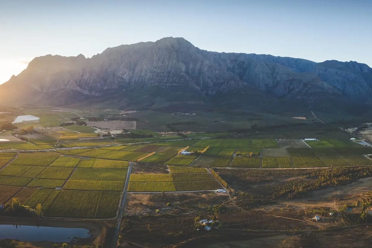 Paarl wine region